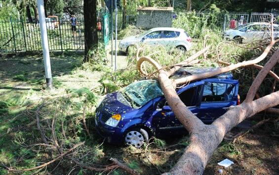 Nubifragio In Toscana Nardella Chiederemo Stato Di Emergenza Sky Tg