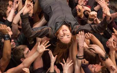 04_divergent_eagle_pictures