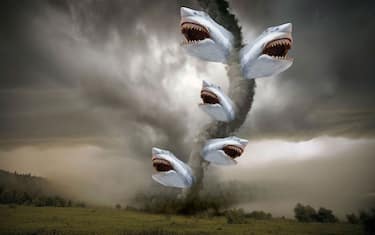 sharknado