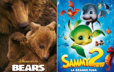 visore_amici_animali