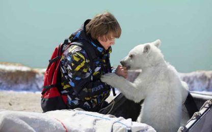 Il mio amico Nanuk le avventure artiche di un bambino e di un orso