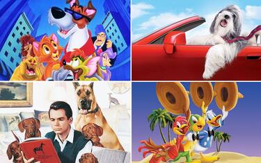 OLICO_1sheet_olivrkey_X