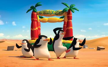 08_pinguini_madagascar