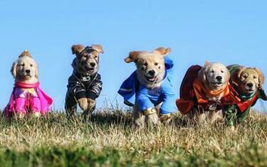 Arriva luglio: è tempo di Disney Cinemagic