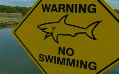Australia, pericolo squali... Solo che sono al golf club