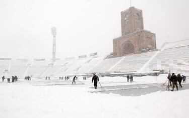 dall_ara_bologna_neve