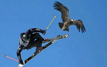 Cile, sciatore sfiora lo scontro con un condor