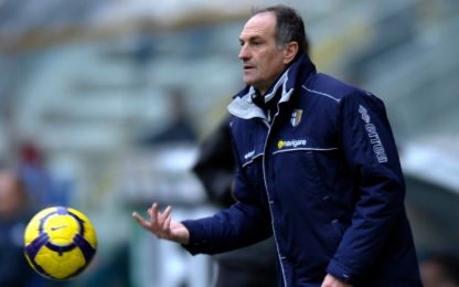 Ufficiale: Guidolin nuovo tecnico dell'Udinese