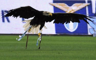 Milan, ma Allegri cos'ha visto? "Me l'aspettavo, tutto ok"