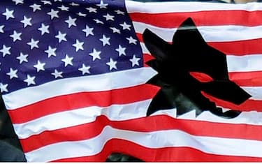 sport_roma_palermo_tifosi_dibenedetto_ansa_5