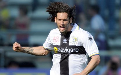 Ghirardi: "Amauri non ha chiuso la porta al Parma"
