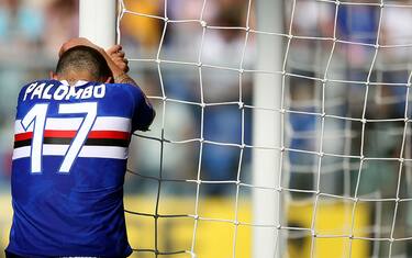 sport_calcio_italiano_palombo_sampdoria_getty