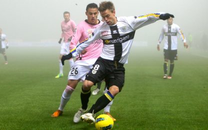 Al Tardini vince solo la nebbia: Parma e Palermo a secco