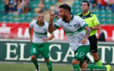 00_insigne
