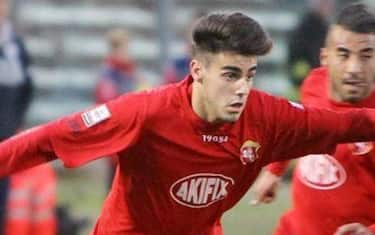 montagnoli_ancona_sito_ufficiale