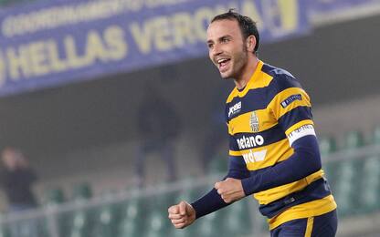 Verona, Pecchia: "Dalla Coppa risposte positive"