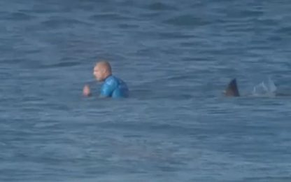 Due squali attaccano surfista: riesce a salvarsi