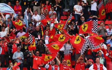 tifosi