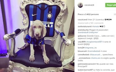 00_coco_icardi_instagram