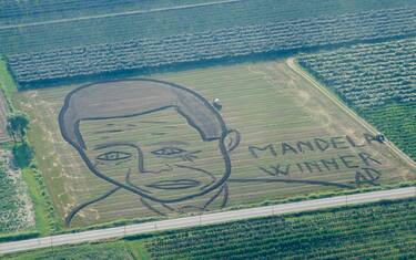 Mondiali, febbre da finale: anche Mandela al Soccer City