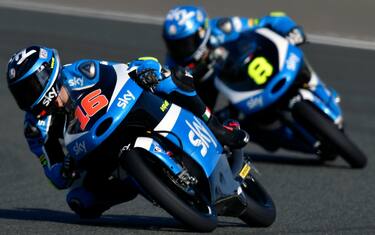 migno_bulega