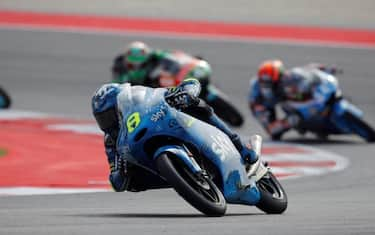 Bulega