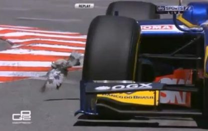 GP2, a Monaco è arrivato il piccione-ninja. IL VIDEO