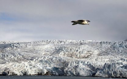 Riscaldamento globale, all'Artico 20 gradi in più della media