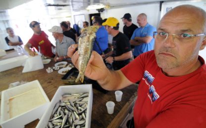 Pesca, la Ue mette al bando moscardini e calamaretti