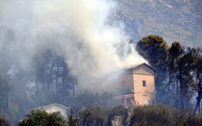 Incendi, la Sicilia brucia. Venti roghi sull'isola