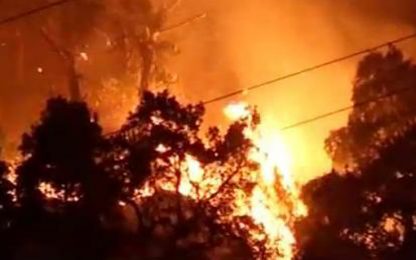 Emergenza roghi in Sicilia, fiamme estese per 6 chilometri