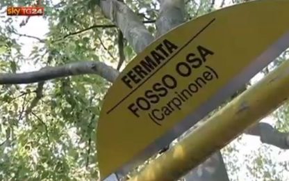 Roma, auto si schianta contro un albero: morti 4 giovani
