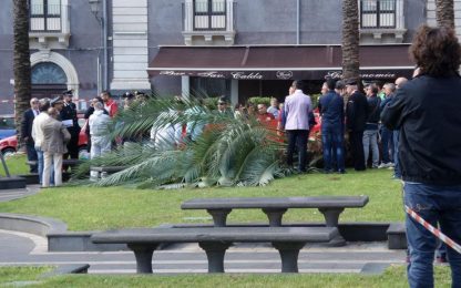 Maltempo, vento sradica un albero: muore una donna a Catania