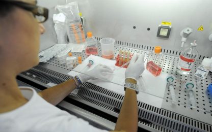Fecondazione, Corte Strasburgo: legittimo vietare ricerca su embrioni