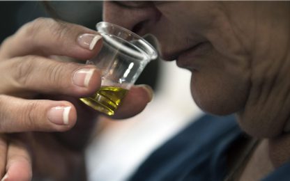 Olio d'oliva spacciato per extravergine, 7 aziende indagate a Torino