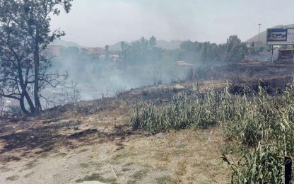 Incendi in Sicilia, decine di roghi in tutta l'isola
