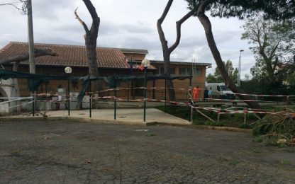 Roma, albero cade su asilo. Bambini evacuati: sono illesi
