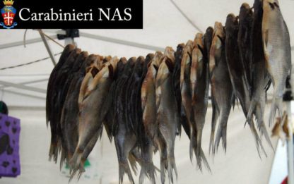 Controlli di Natale: i Nas sequestrano 3 tonnellate di pesce