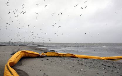 Marea nera, stato d'emergenza anche in Mississippi