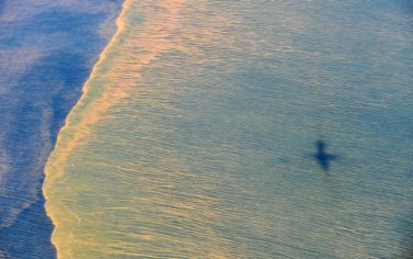 In this May 6, 2010 photo released by the U.S. Navy, oil is seen from an aerial view at the Deepwater Horizon oil spill off the coast of Mobile, Ala. (AP Photo/U.S. Navy, Mass Communication Specialist 1st Class Michael B. Watkins)