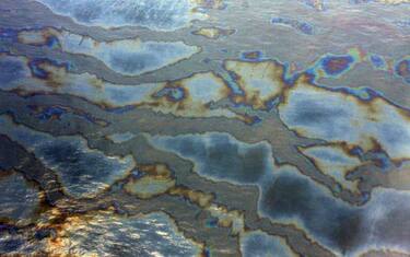 marea_nera_obama_attentati