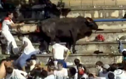 Spagna: toro invade gli spalti durante corrida, 30 feriti