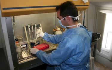 laboratorio_ricerca_staminali