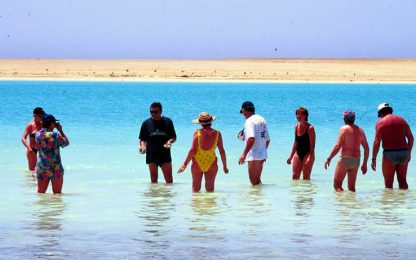 Squalo uccide una turista, terrore nel paradiso di Sharm