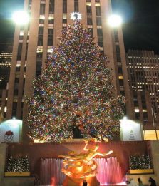 Gli alberi di Natale più belli d'America (e di Italia)