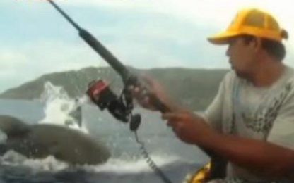 Hawaii, squalo attacca pescatore a bordo di un kayak. VIDEO