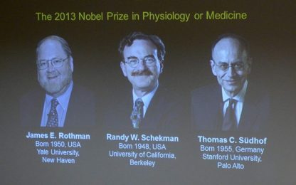Nobel Medicina: premiata ricerca sul trasporto delle cellule