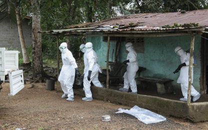 Ebola, l'Oms: "Emergenza mondiale, la più grave da 40 anni"