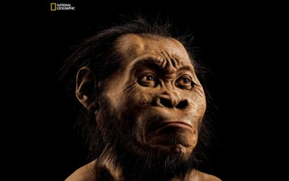 Sudafrica, scoperta nuova specie umana: l'Homo Naledi