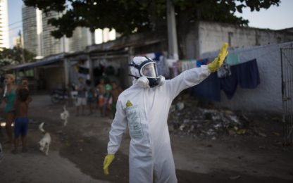 Virus Zika, Oms: "Si sta diffondendo in modo esplosivo"